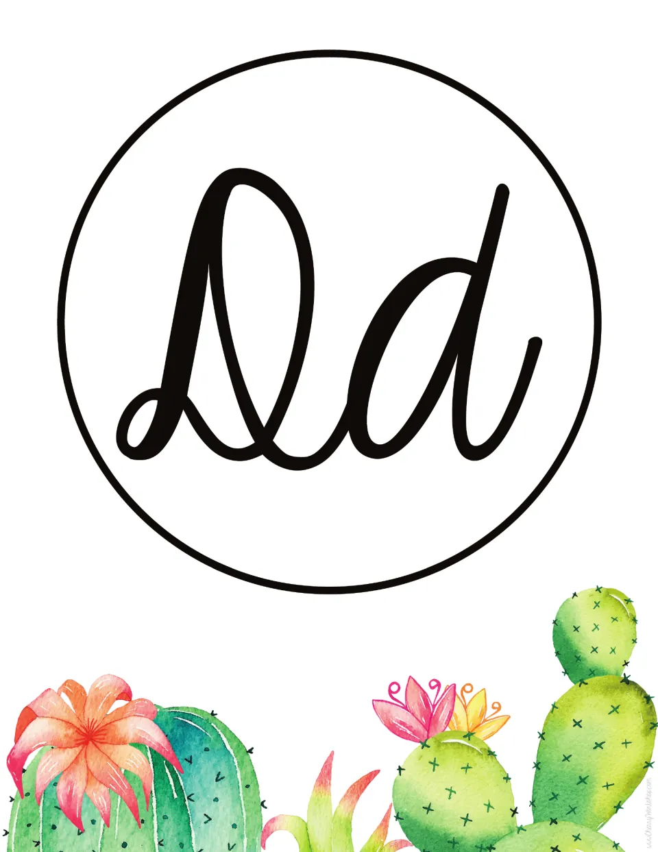 Letter D poster: cursive capital D and lowercase d in black for letter recognition, set above blooming cacti