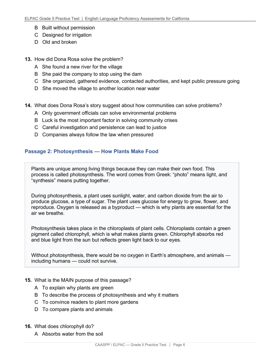 Photosynthesis reading passage with questions on main purpose and chlorophyll, after the last river story items on theme
