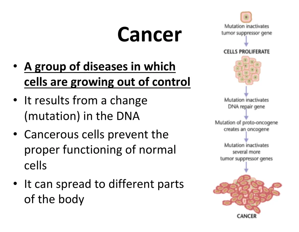 Cancer definition slide describes uncontrolled cell growth, DNA mutations, and spread through the body