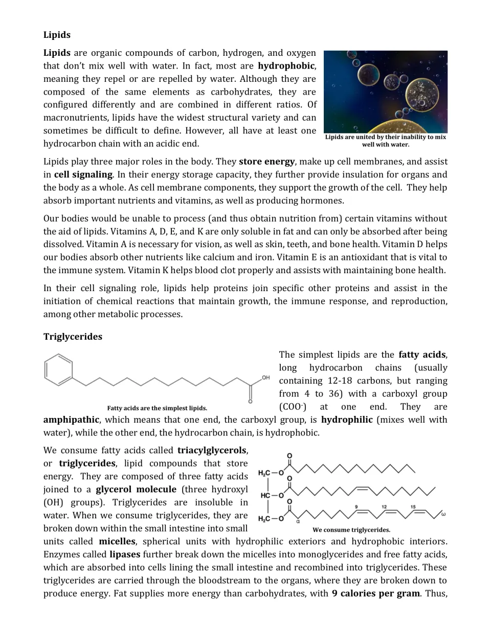 Lipids reading: hydrophobic nature, roles in the body, vitamins A, D, E and K, and fatty acid and triglyceride diagrams