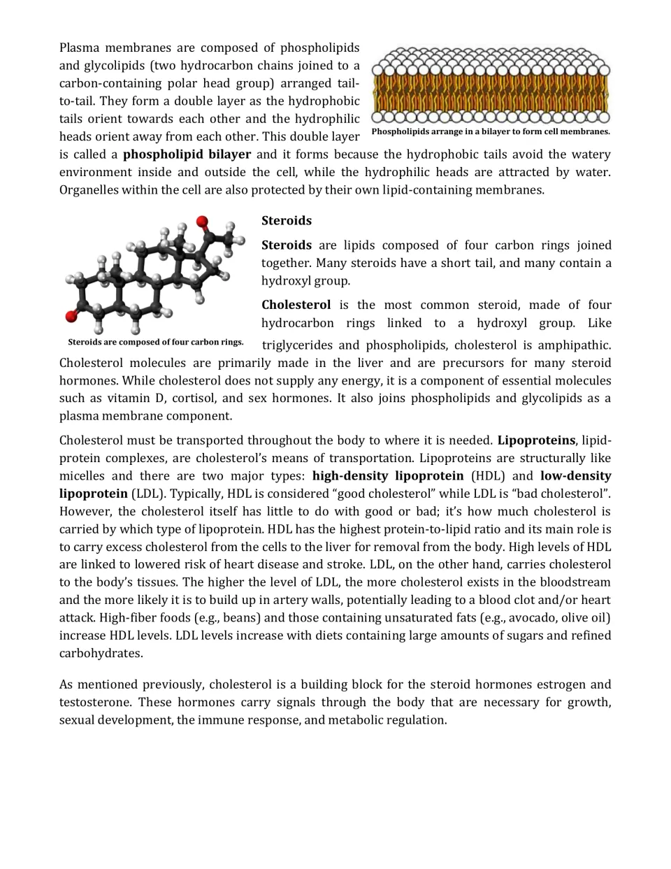 Phospholipid bilayer and steroids reading: cholesterol structure, HDL vs LDL lipoproteins, and steroid hormones
