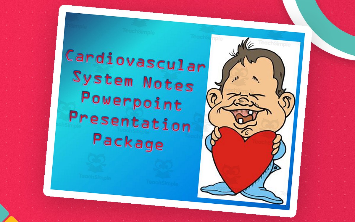 Cardiovascular System | PowerPoint Presentation preview