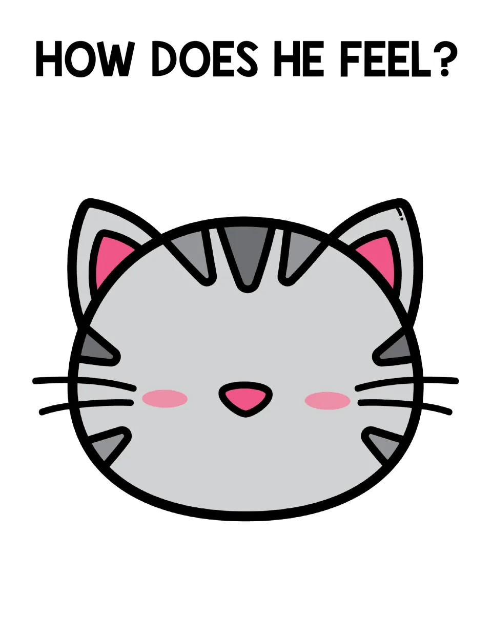 How does he feel? A tabby cat face with only nose, cheeks and whiskers, no eyes or mouth, to show an emotion