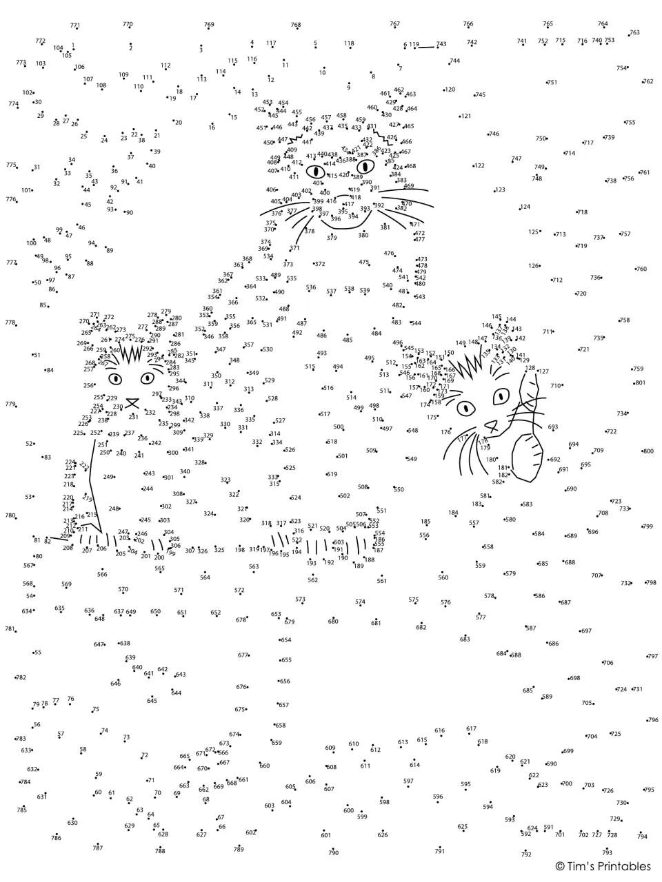 Cat dot-to-dot puzzle: students connect 801 numbered dots in order to complete three cats whose faces are pre-drawn