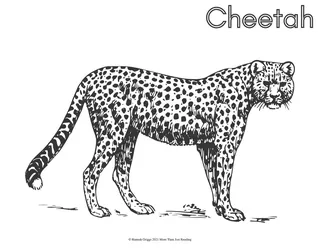 Cat Family Coloring Pages – sample page 2