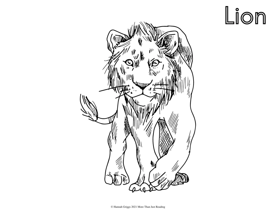 Lion coloring page: students color a detailed drawing of a maned lion walking forward, with outlined title letters