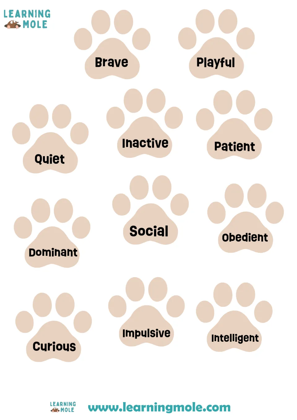 Cut-out trait cards on paw prints: brave, playful, quiet, patient, social, curious, impulsive, intelligent and 3 more
