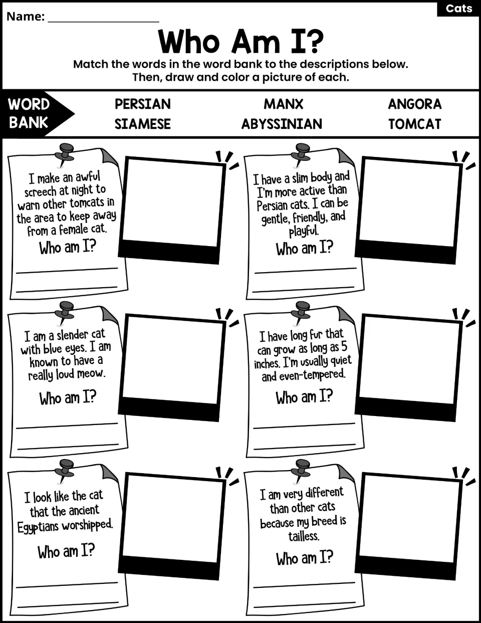 Who Am I? cat breeds: students match Persian, Manx, Siamese, Tomcat and others to six clues, then draw each cat