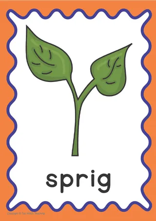 CVCCC, CCVCC and CCCVC Words Phonics Activities – sample page 3