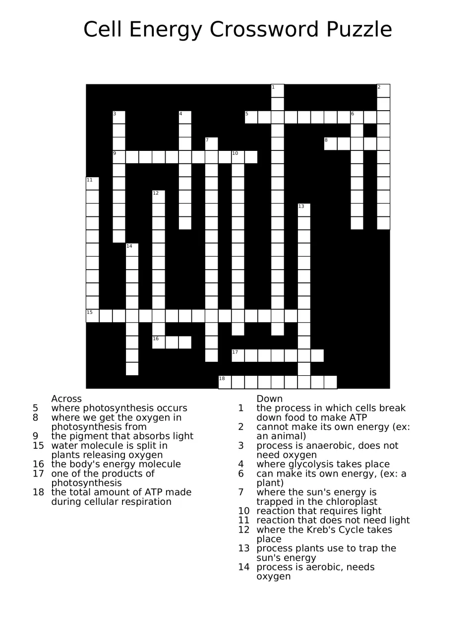 Cell energy crossword: students solve 18 clues on photosynthesis, cellular respiration, ATP and chloroplasts