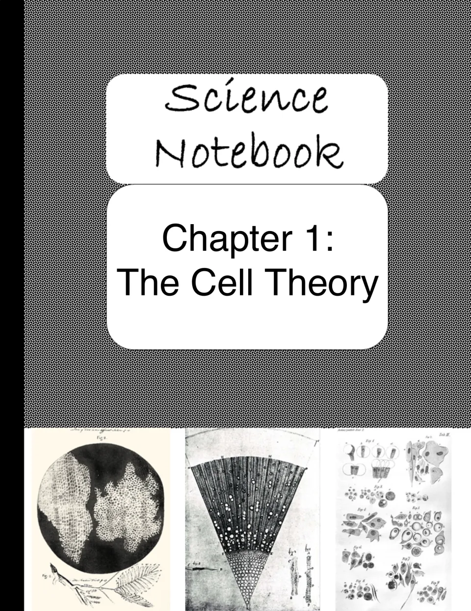 Chapter 1 divider introducing The Cell Theory section of the notebook before its three listed activities.