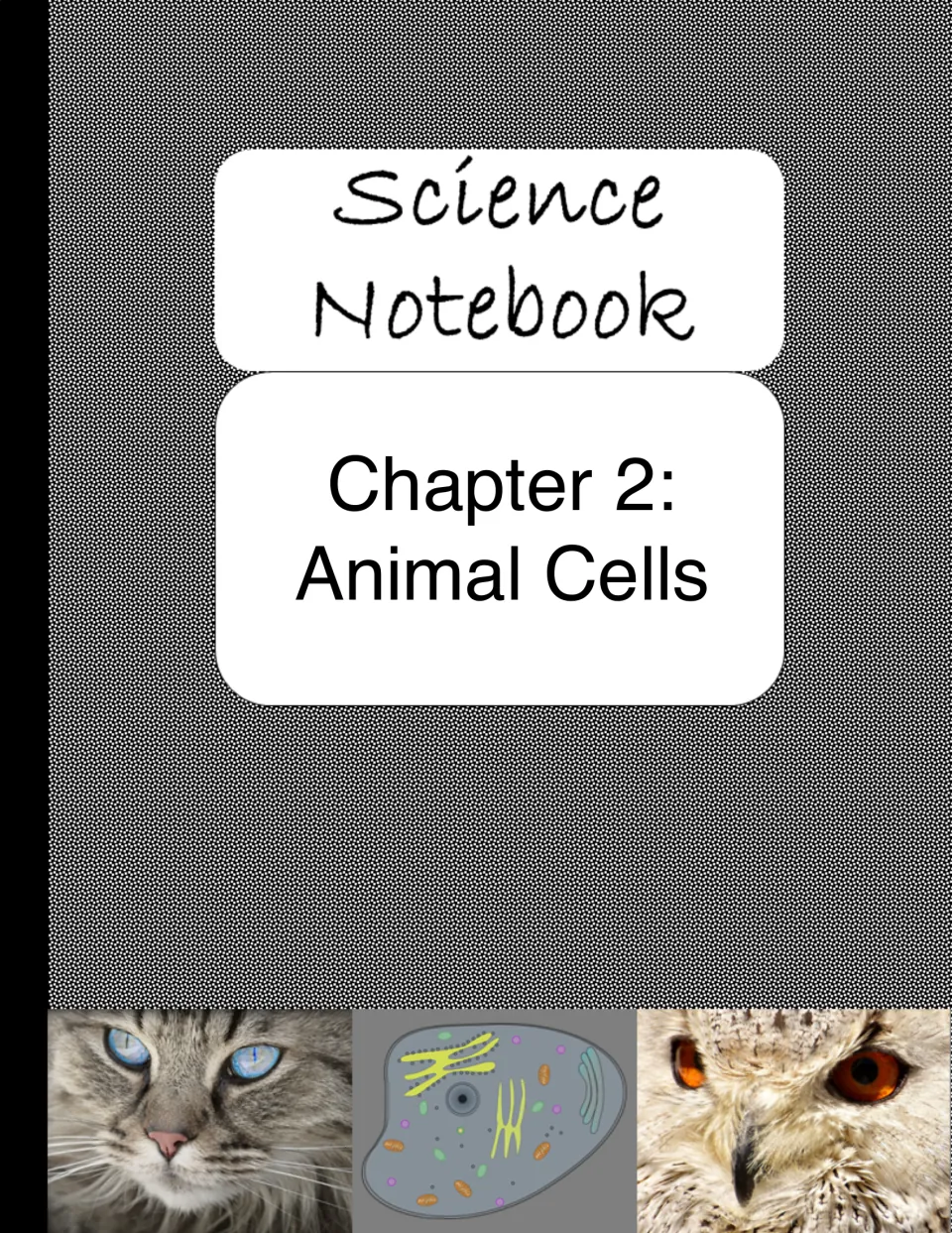 Chapter 2 divider introducing Animal Cells before the notebook's labeling, organelle table, and video activities.