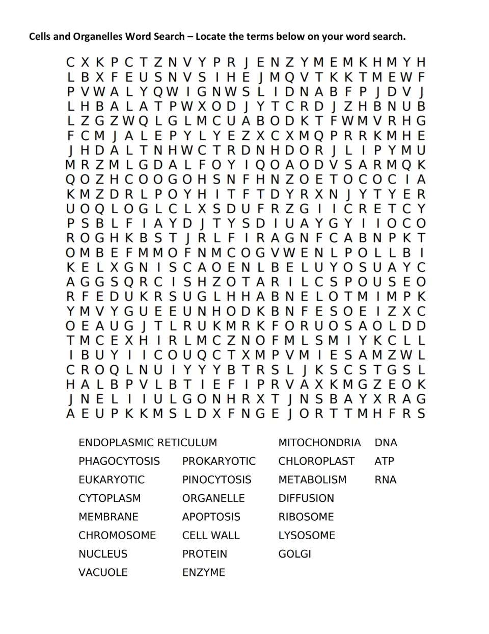 Cell organelle word search: students find 25 terms including nucleus, mitochondria, ribosome, Golgi and lysosome