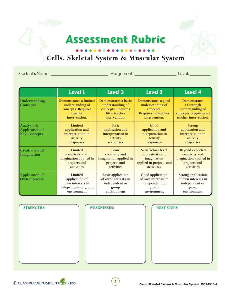 Assessment rubric scoring understanding, application, creativity and own interests across four levels, plus next steps