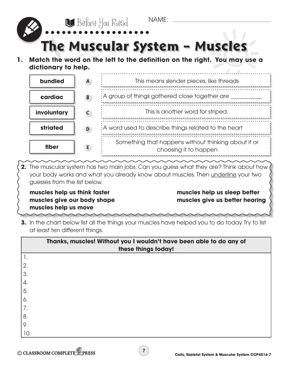 Muscles warm-up: students match five words to definitions, guess two jobs of muscles and list 10 things muscles did