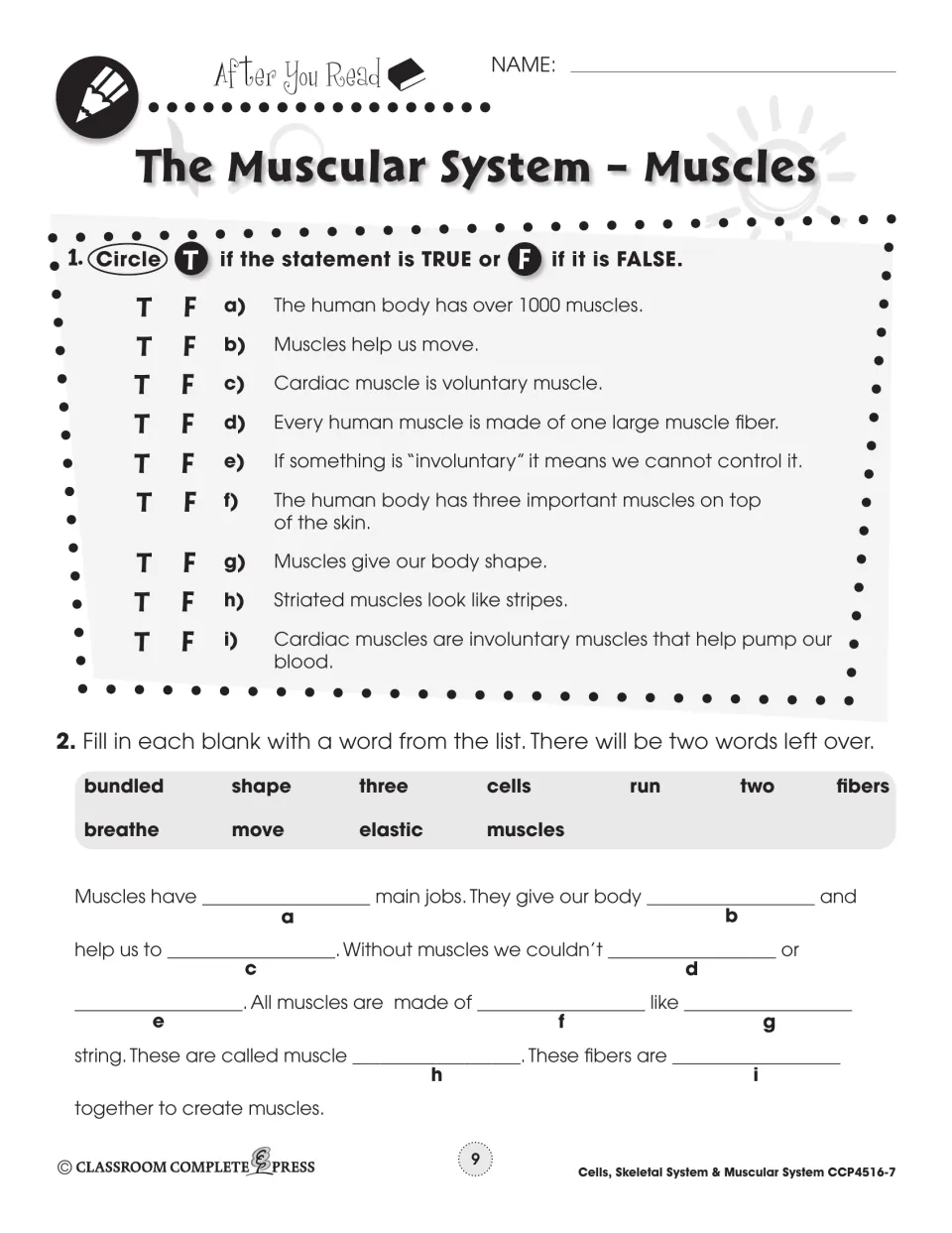 Muscles comprehension check: students circle true or false for nine statements and fill in a paragraph from a word bank