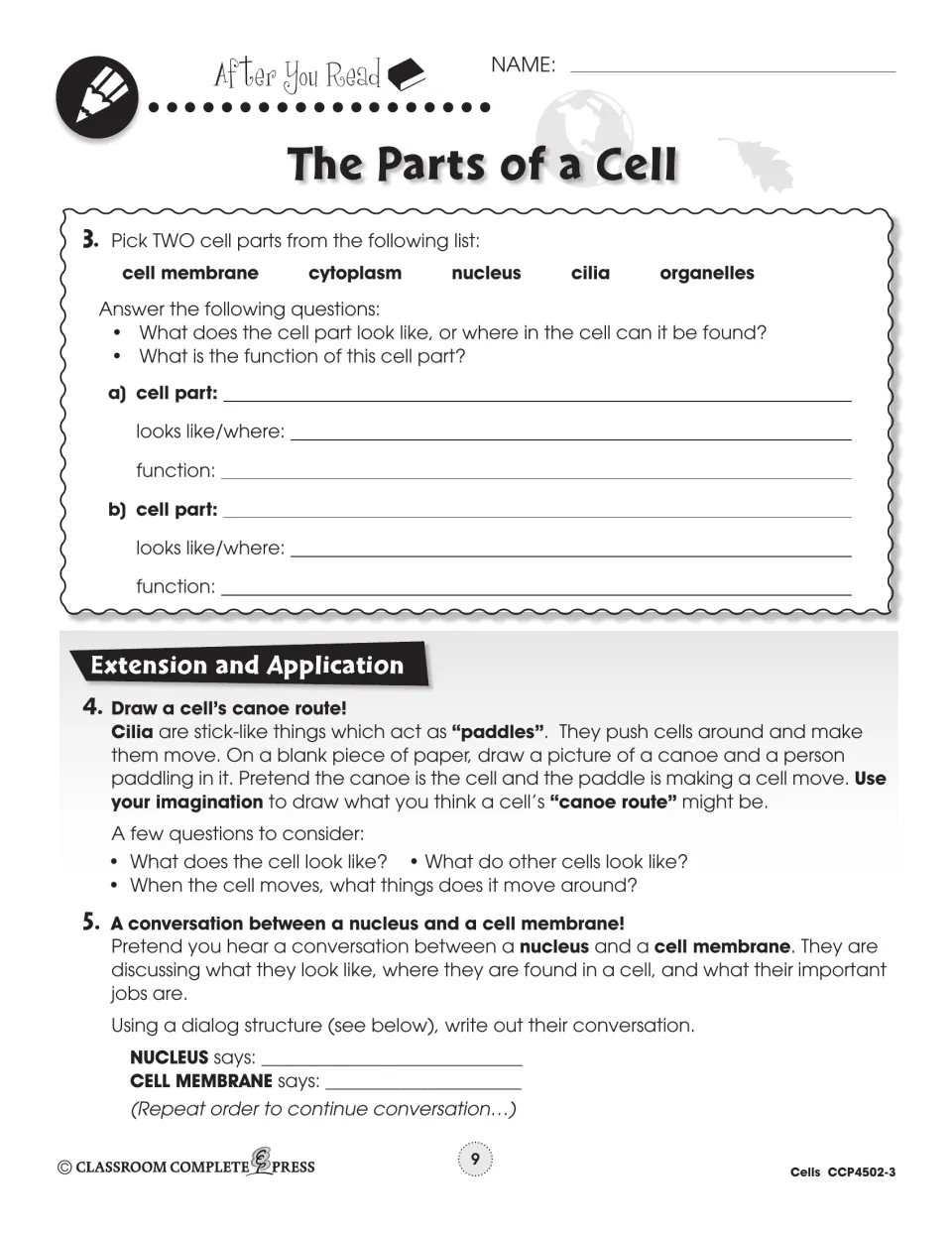 After You Read 3–5: describe two cell parts, draw a cell's canoe route, and write a nucleus–cell membrane dialog