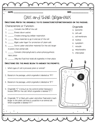 Cells + Their Organelles Reading Activity – cover