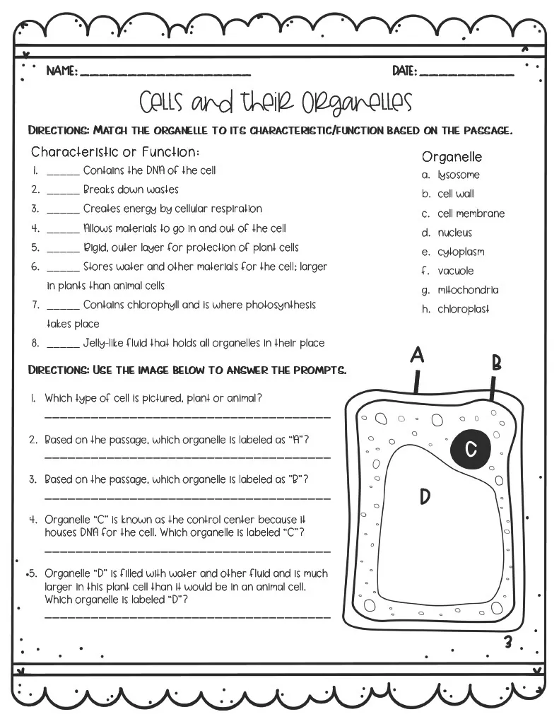 Cells + Their Organelles Reading Activity – cover