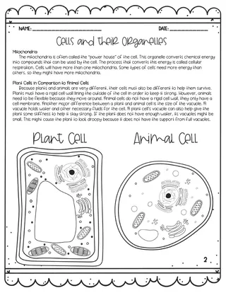 Cells + Their Organelles Reading Activity – sample page 2
