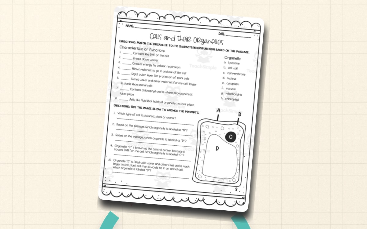 Cells and organelles activity page with a cell diagram and structure-function questions.
