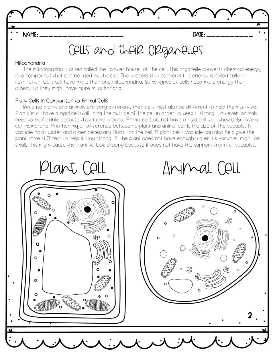 Passage part 2 on mitochondria and plant vs animal cells, ending with plant cell and animal cell drawings for comparison