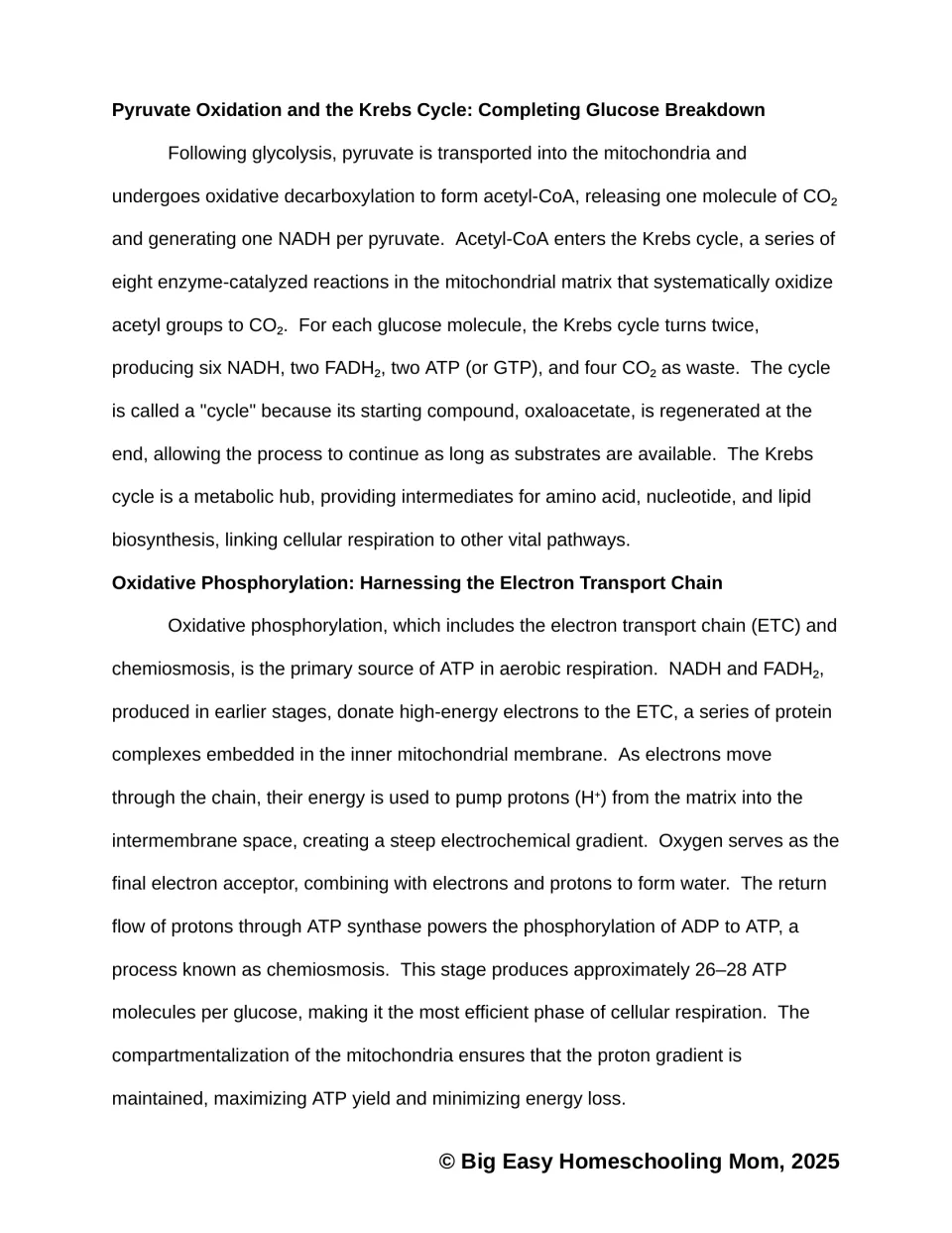 Reading on pyruvate oxidation, the Krebs cycle and oxidative phosphorylation, including the electron transport chain