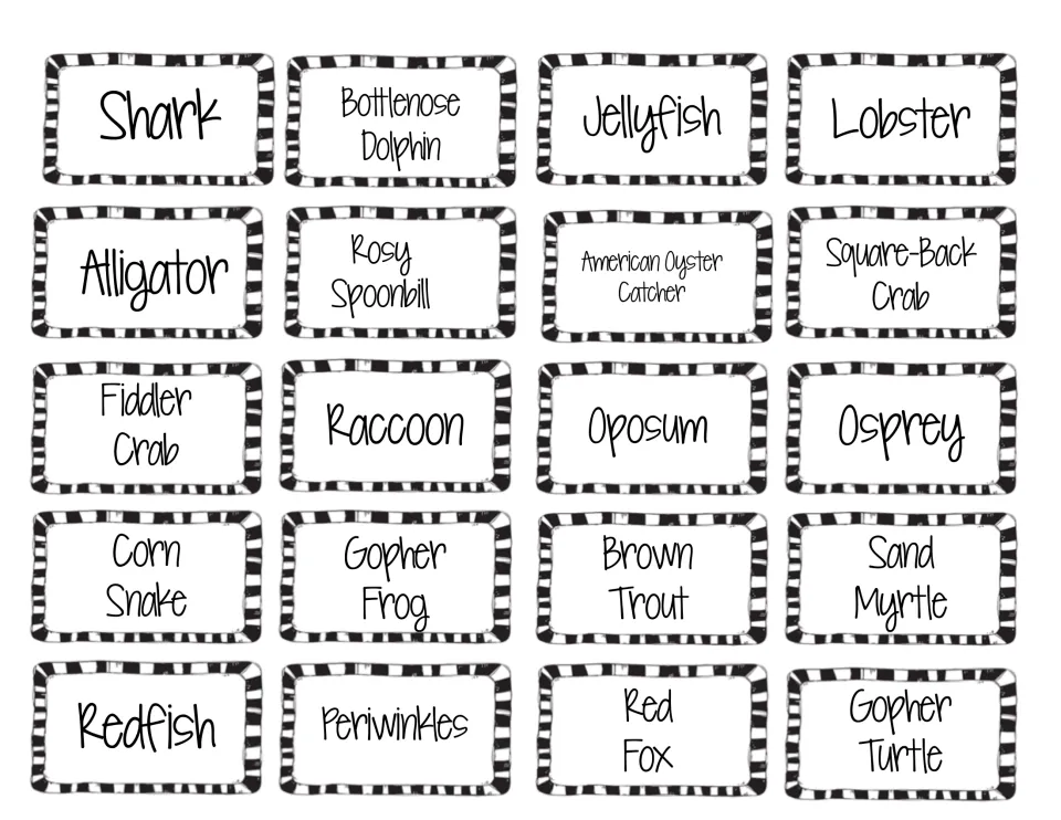Organism assignment cards in black and white naming 20 animals and plants, such as shark, alligator, osprey and sand myrtle