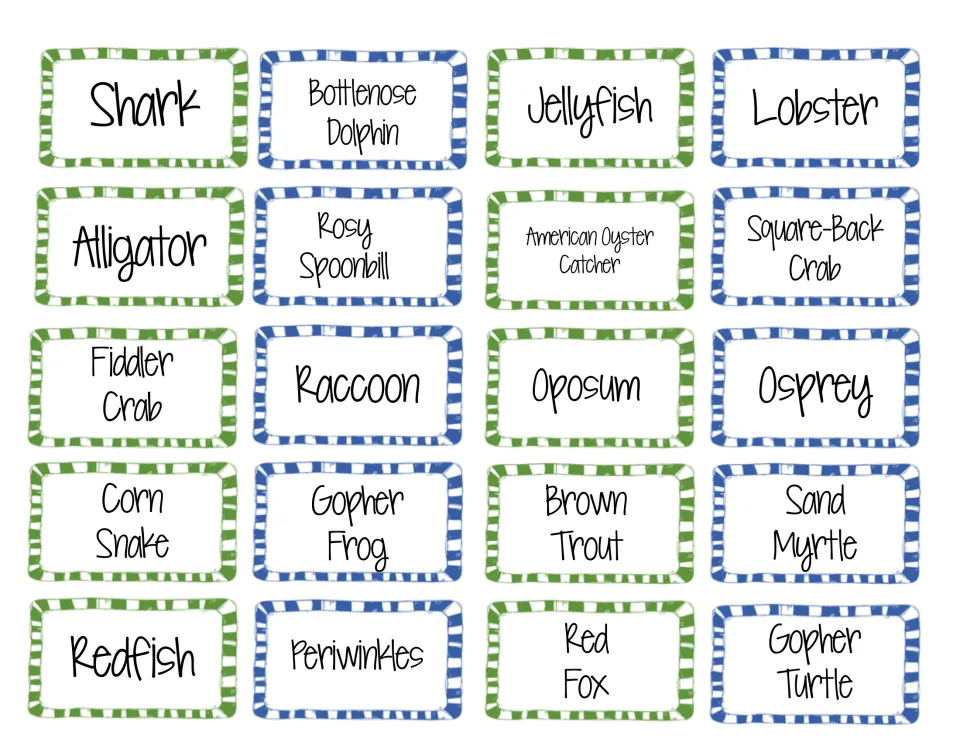 Colour organism cards in green and blue naming the same 20 organisms, from shark and bottlenose dolphin to gopher turtle