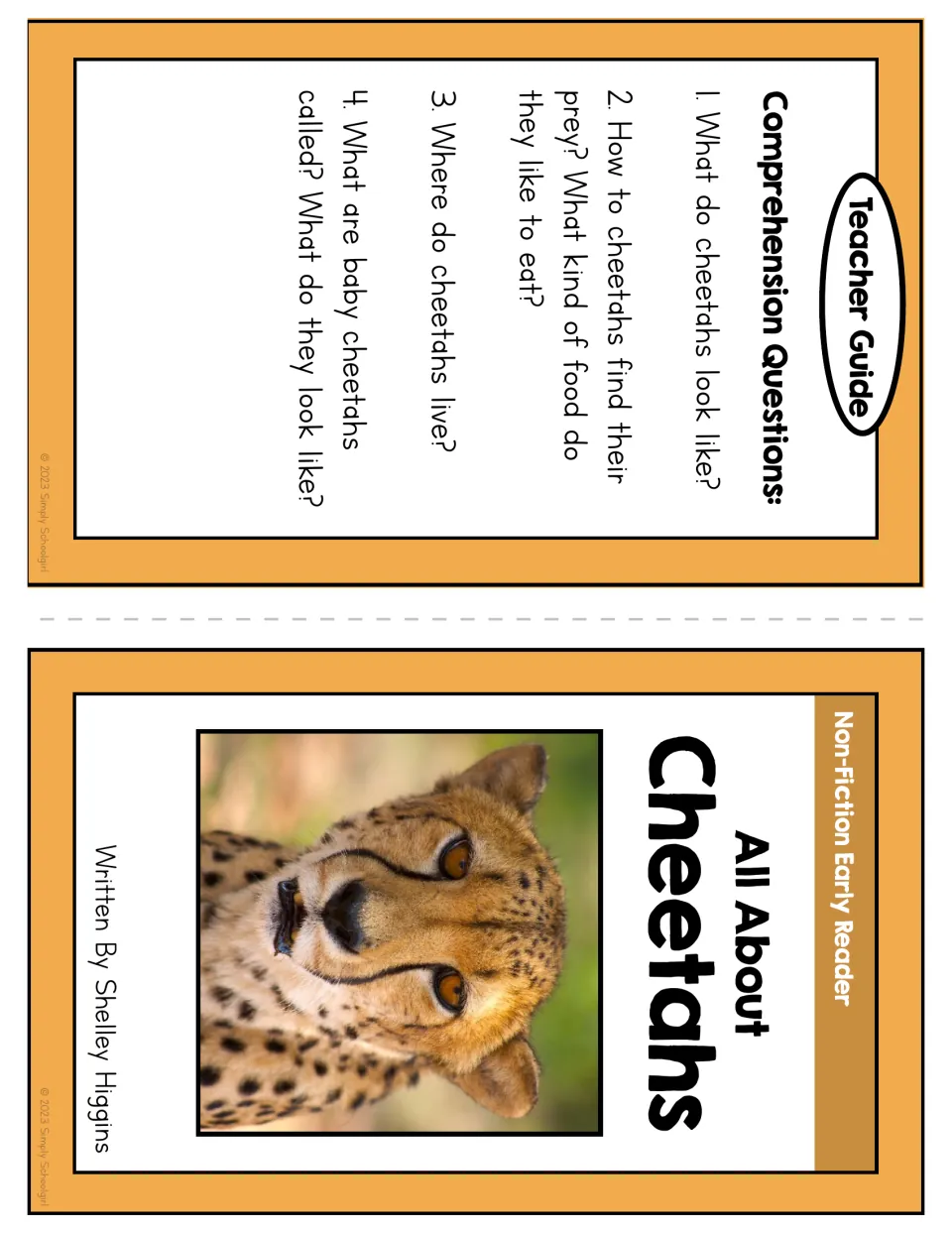 Booklet cover credits Shelley Higgins; teacher guide asks about cheetah appearance, prey, habitat, and cubs
