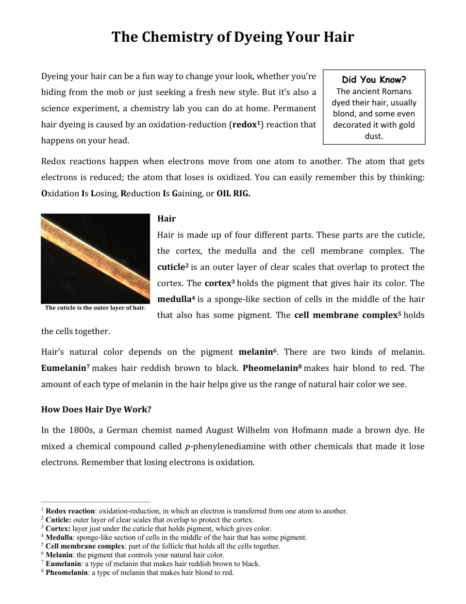 Opening page of 'The Chemistry of Dyeing Your Hair': redox, OIL RIG, the four parts of hair and melanin
