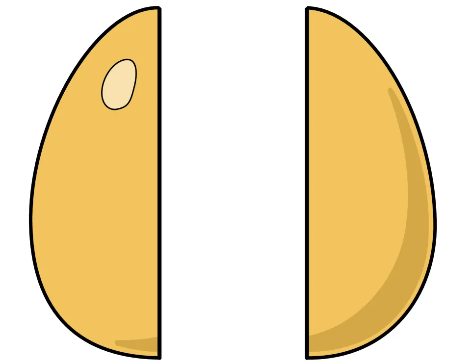Two colored egg halves to cut out for the chicken life cycle foldable cover, forming a yellow egg when joined