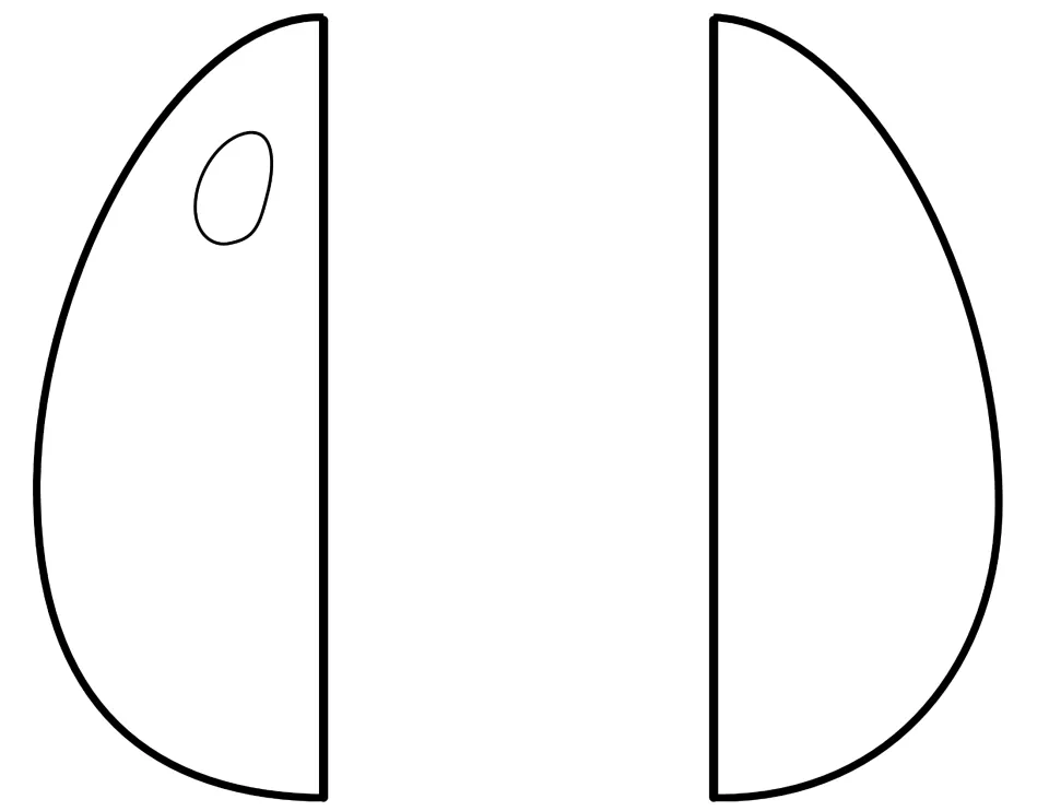 Two black-and-white egg halves to color and cut out for the chicken life cycle foldable's egg-shaped cover