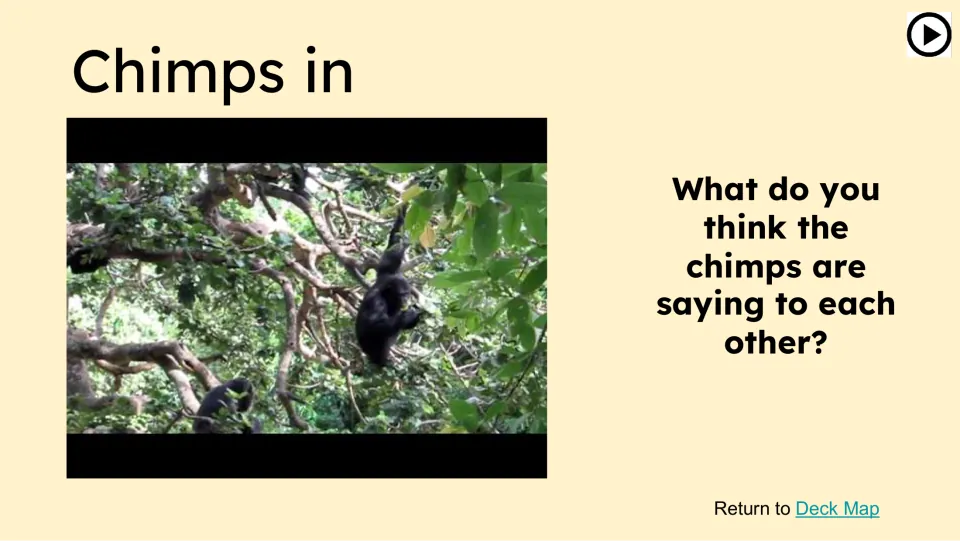 Opening video slide shows chimps in trees and asks, “What do you think the chimps are saying to each other?”