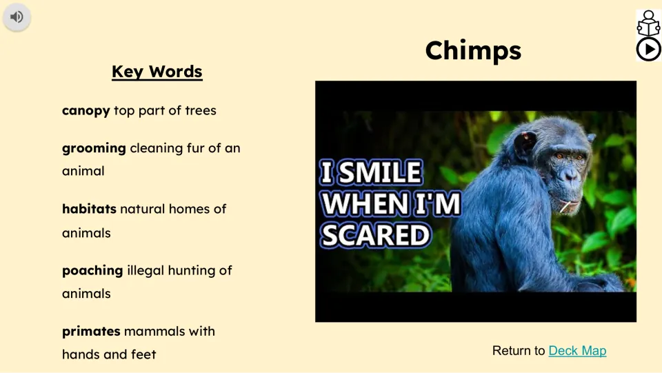 Vocabulary and video slide defines canopy, grooming, habitats, poaching, and primates beside a chimp video.
