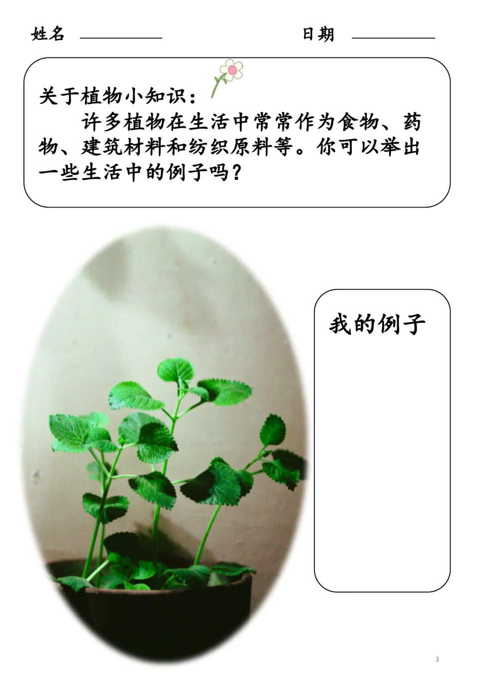 Chinese plant discussion asks for examples of plants used as food, medicine, building materials, and textiles