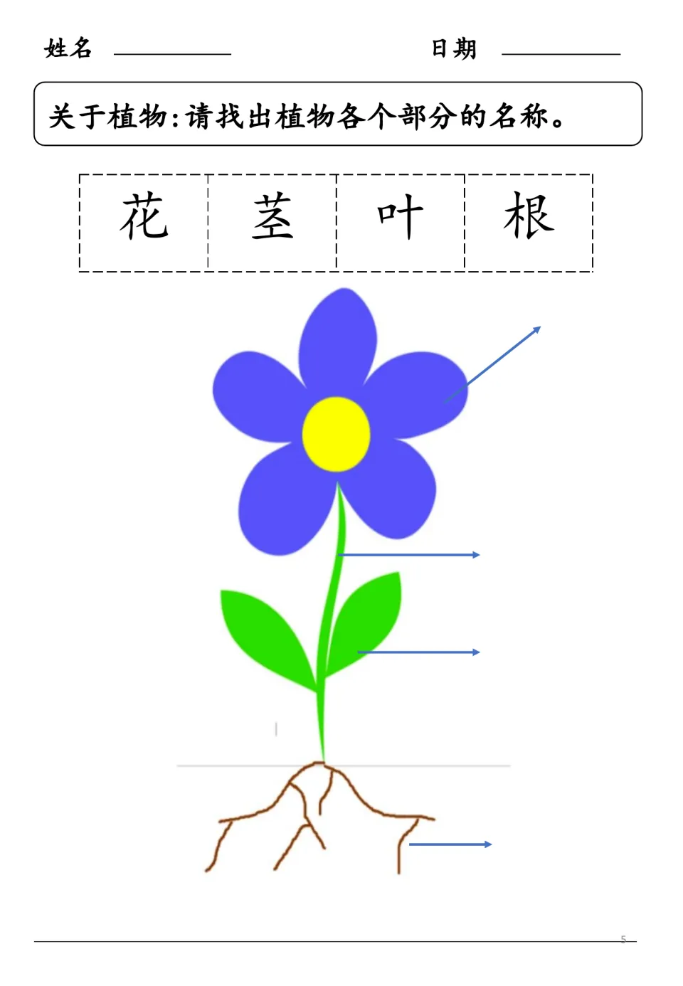 Chinese plant-labeling activity uses 花 (flower), 茎 (stem), 叶 (leaf), and 根 (root) to label a flower diagram