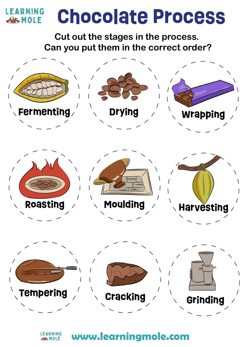 Chocolate process sequencing: students cut out 9 illustrated stages, from harvesting and drying to moulding and wrapping