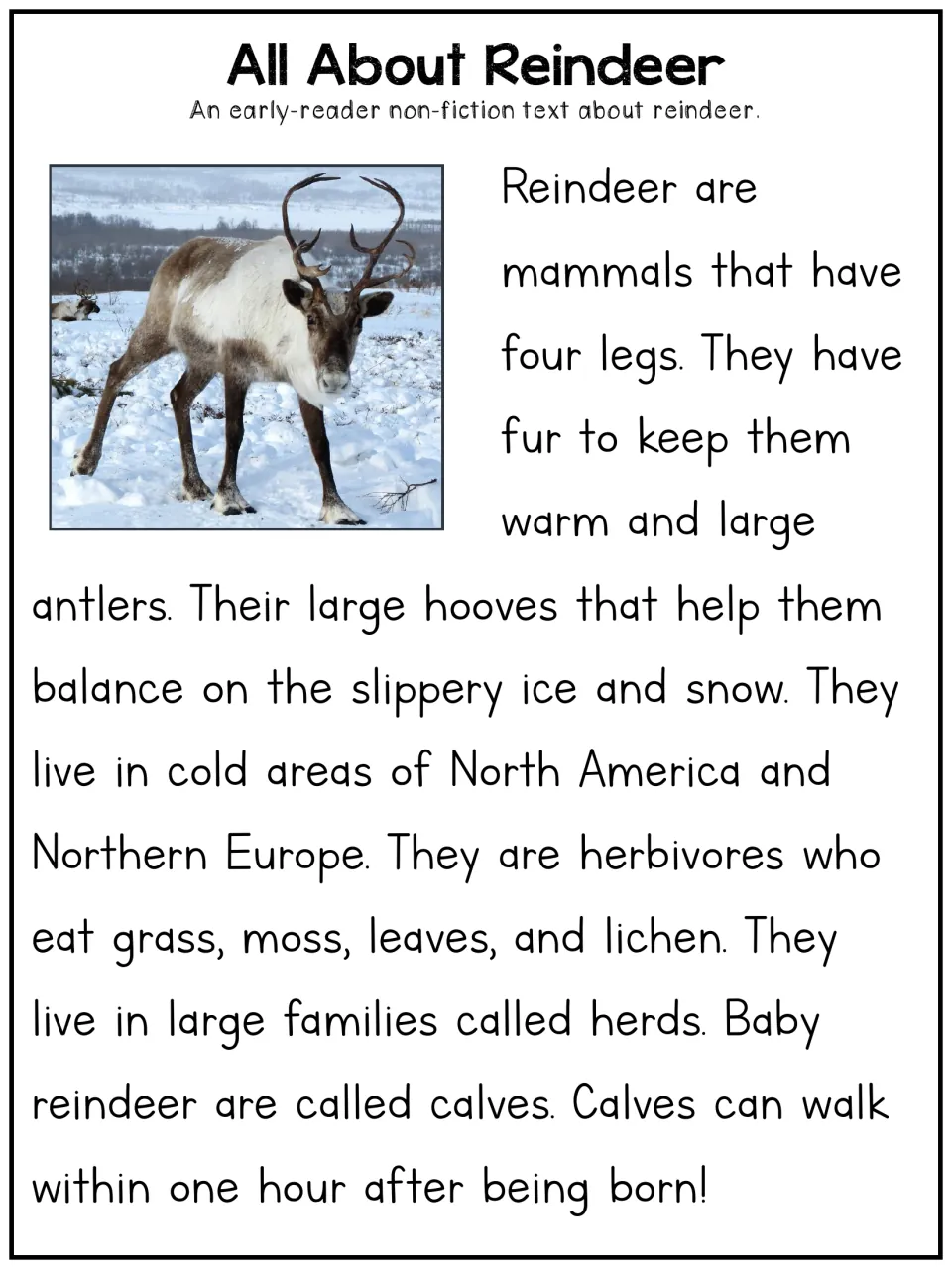 Early-reader reindeer article describing fur, antlers, hooves, cold habitats, plant foods, herds, and calves