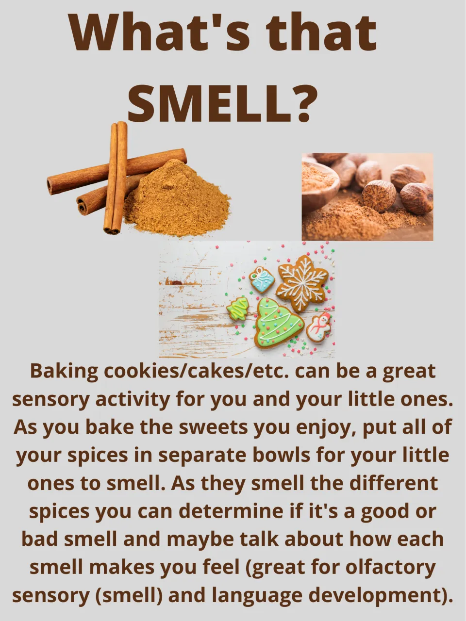 What's that SMELL? activity uses baking spices for smelling and talking about how different scents feel