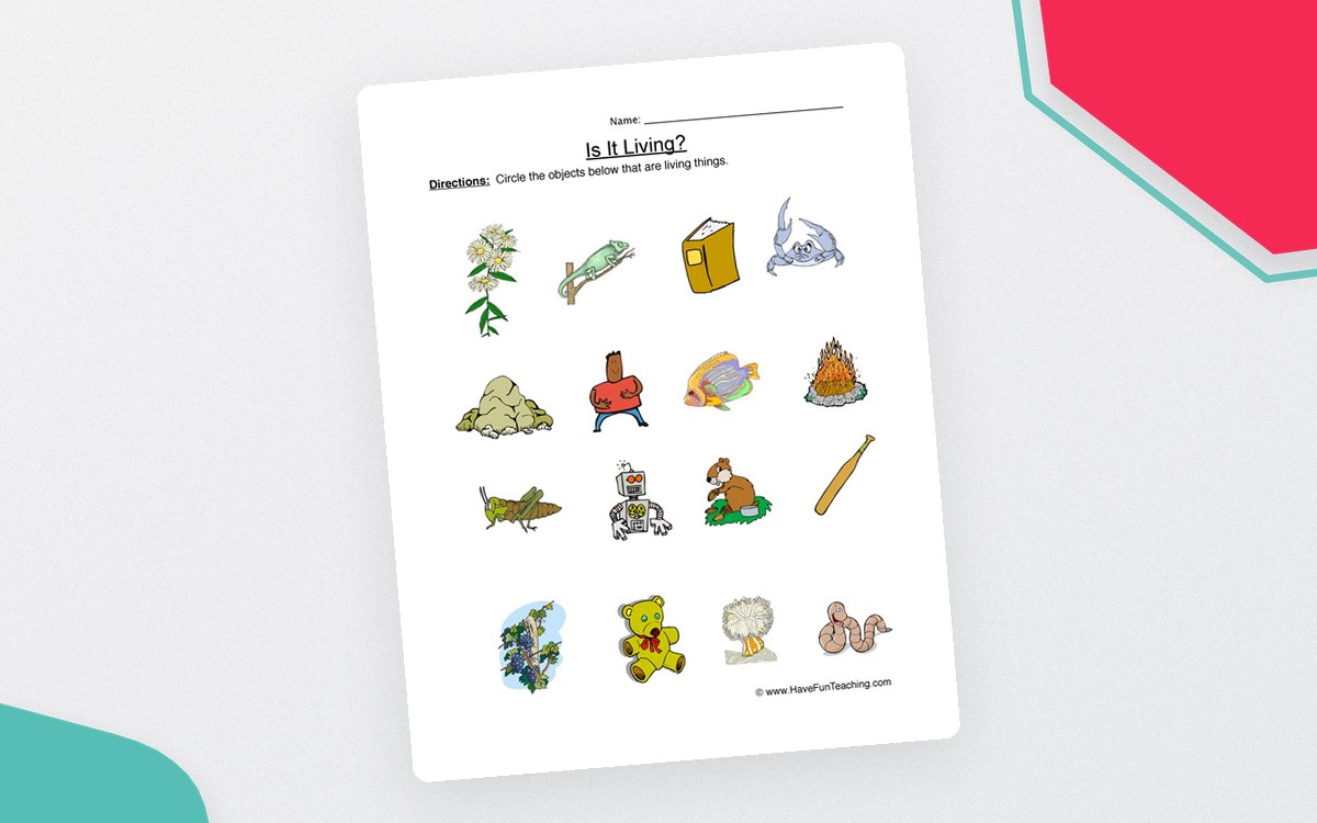 Circle Living Things Worksheet preview: Mixed picture set containing living and nonliving objects