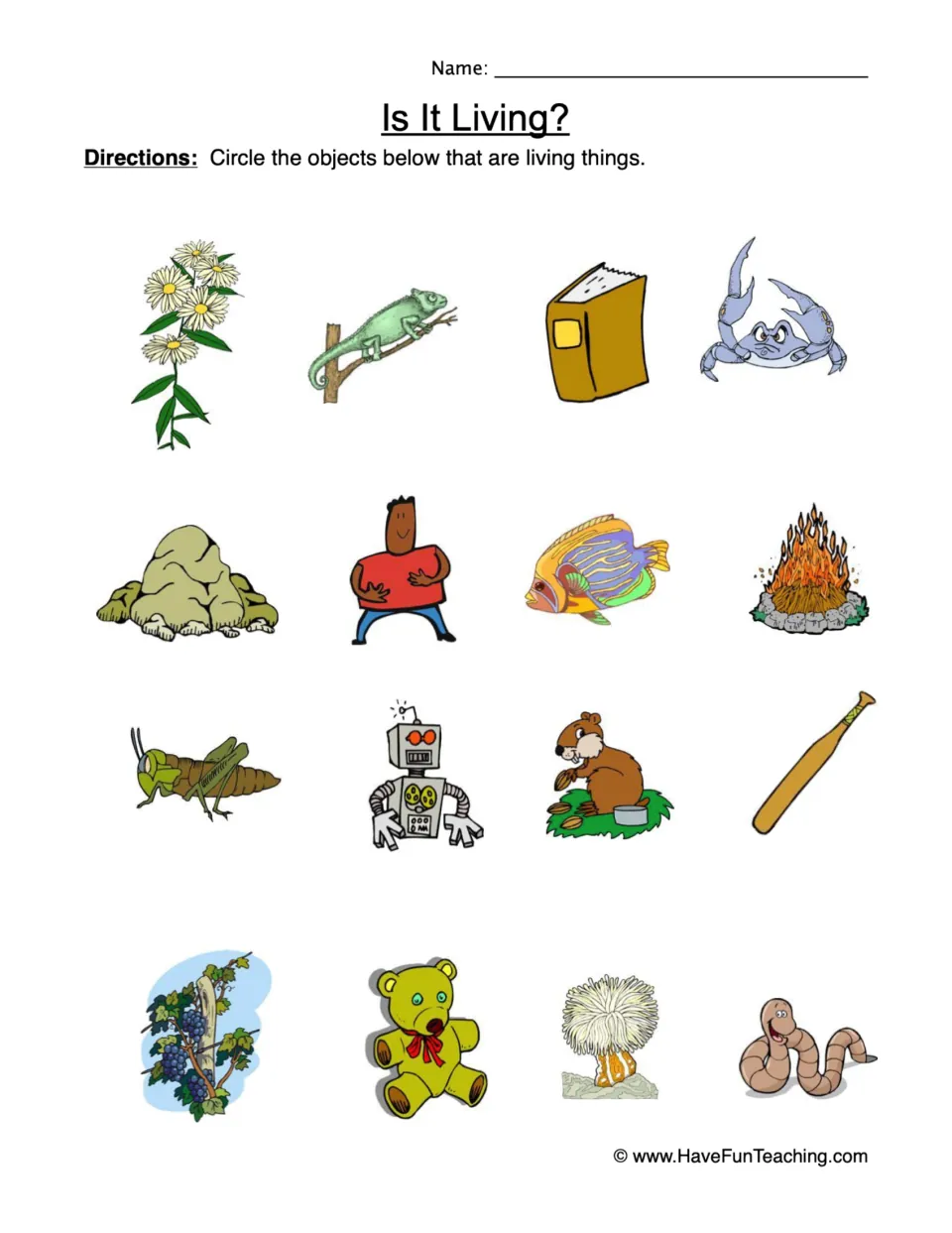 Is It Living?: students circle the living things among 16 pictures such as a crab, rock, robot, fish, fire and teddy bear