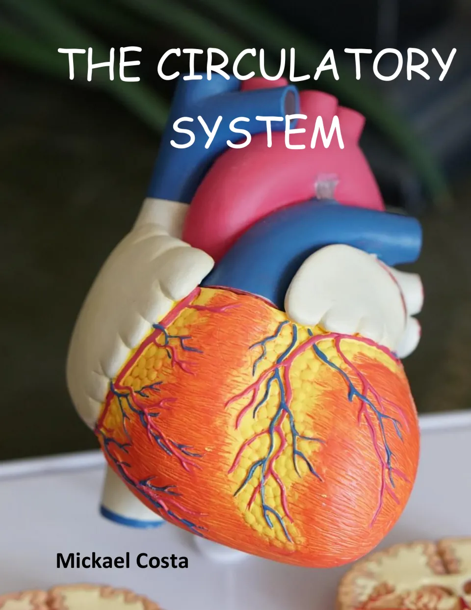 Cover of The Circulatory System by Mickael Costa, showing a color photo of an anatomical heart model with blood vessels