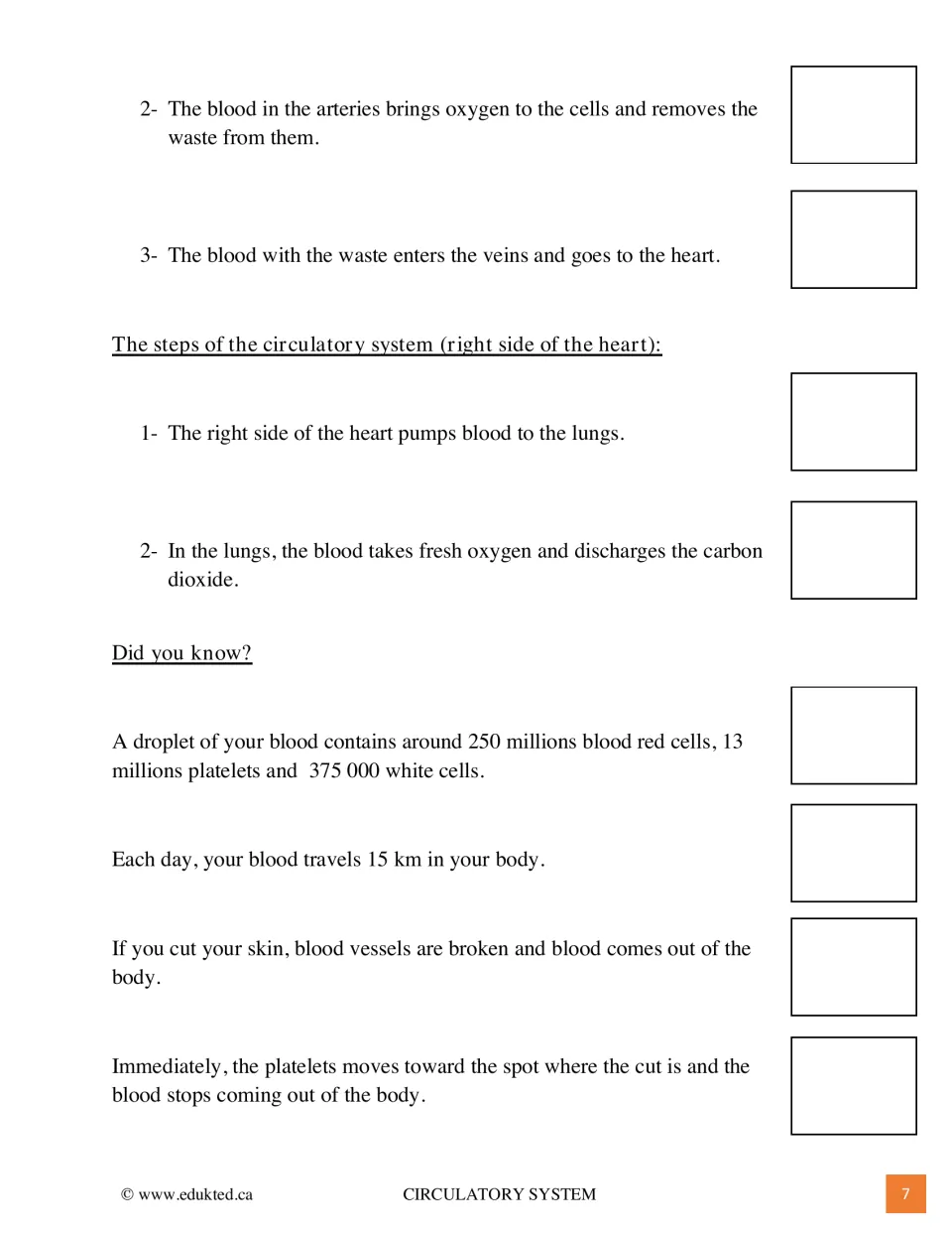Reading to illustrate, end: blood flow steps for both sides of the heart and Did you know? facts on blood cells, clotting