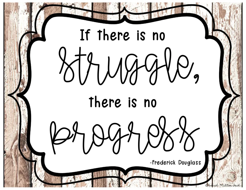 Civil rights quote poster: Frederick Douglass's words, 'If there is no struggle, there is no progress'
