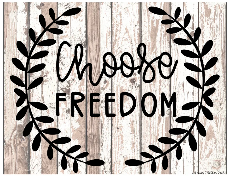 Civil rights slogan poster reading 'Choose Freedom,' one of the classroom display posters in the set