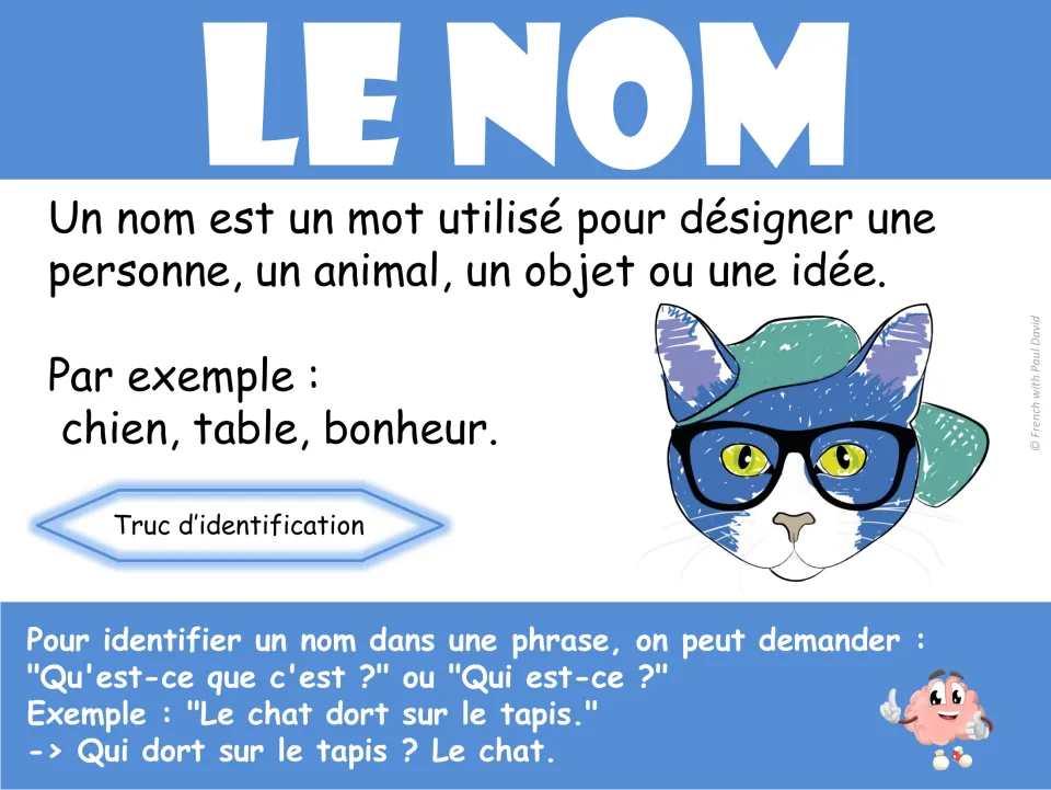 French noun poster: le nom (noun), examples chien, table, bonheur, and identification using a cat sentence