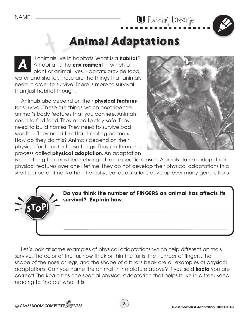 Reading passage explains habitats and physical adaptations, with a koala photo and a question about fingers