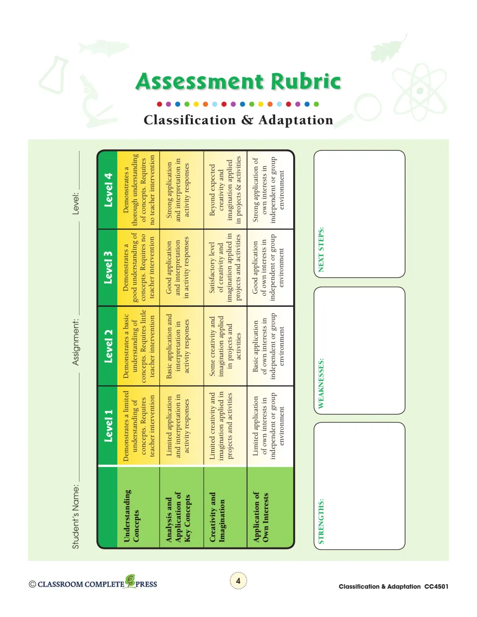 Assessment rubric scoring understanding, application, creativity and own interests at four levels, with next-steps notes