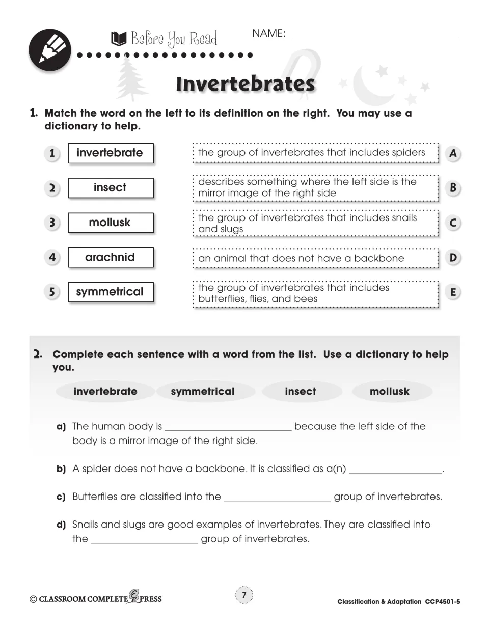 Before You Read: match invertebrate, insect, mollusk, arachnid, symmetrical to meanings; finish 4 sentences